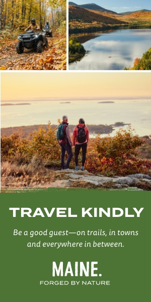 LOFM Display Banner Example 2