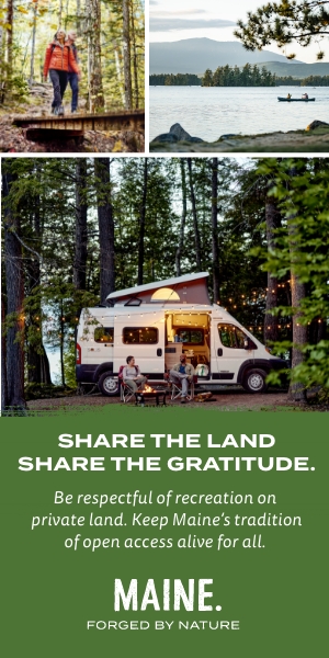 LOFM Display Banner Example 3