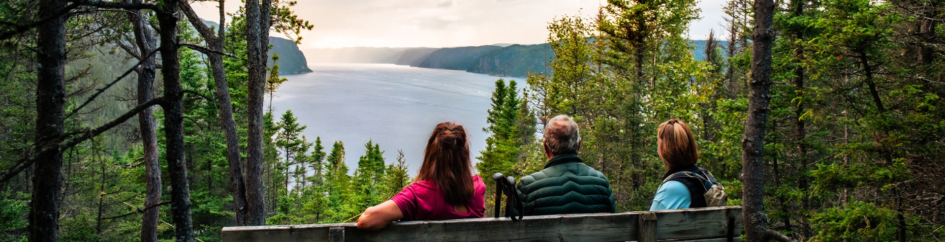 Three people sit on a bench in a forest, overlooking a large body of water and distant hills under a cloudy sky.