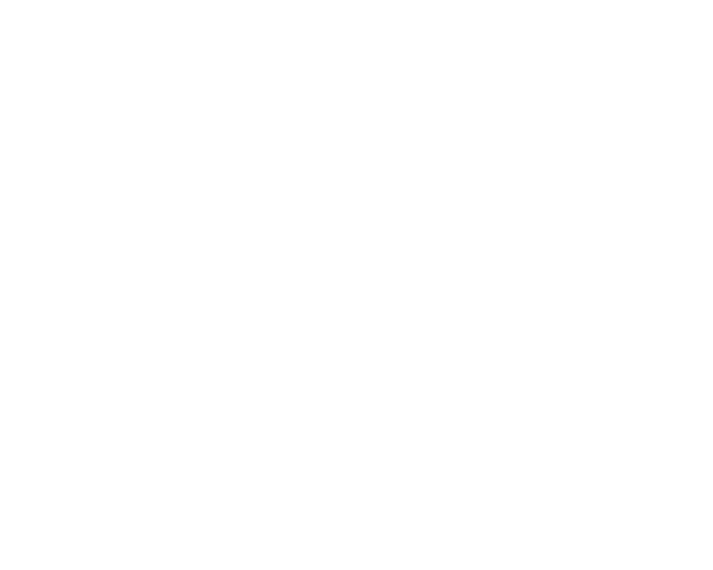 White text on a black background reads "MAINE." in large letters, with "FORGED BY NATURE" in smaller letters underneath.